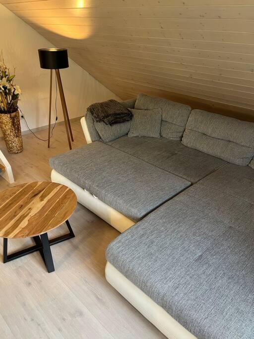 Loewen Appartement Hausach Extérieur photo